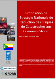 National Strategy for Disaster Risk Reduction Proposal